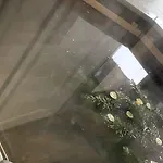 ехо тростяну *