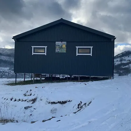 ехо тростяну *