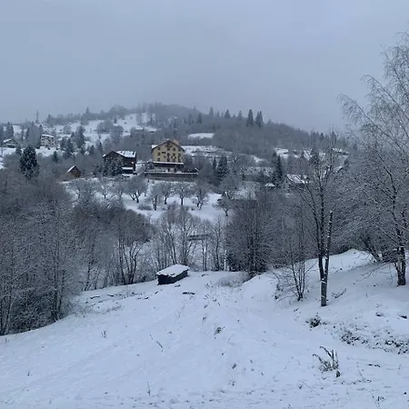 ехо тростяну * Slavske