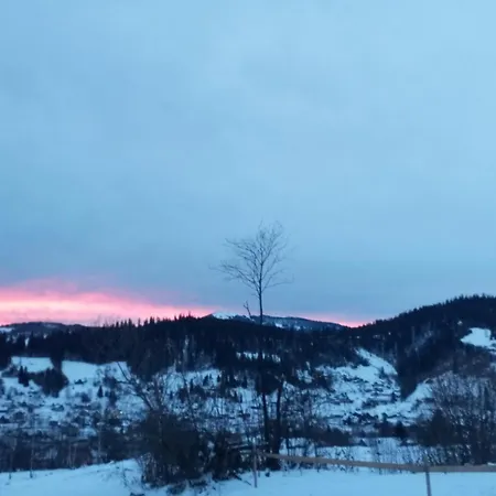 ехо тростяну * Slavske