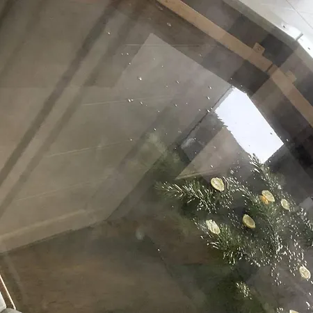 ехо тростяну *