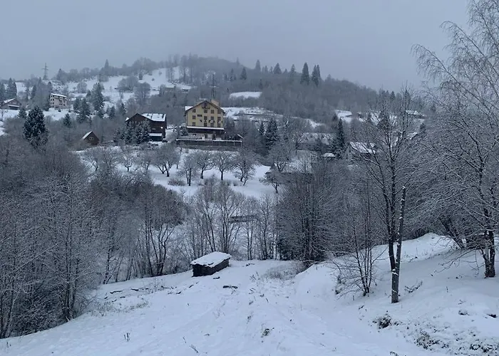 ехо тростяну * Slavske